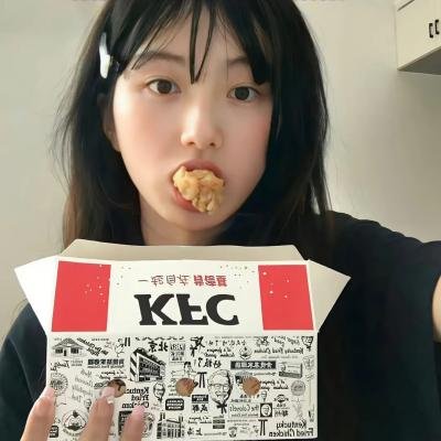 完美的独裁国家
